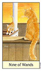 cats-eye - Nine of Wands