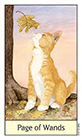 cats-eye - Page of Wands