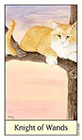 cats-eye - Knight of Wands