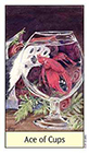 cats-eye - Ace of Cups