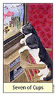 cats-eye - Seven of Cups
