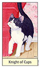 cats-eye - Knight of Cups