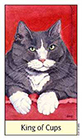cats-eye - King of Cups