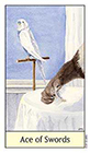 cats-eye - Ace of Swords