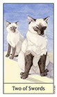 cats-eye - Two of Swords