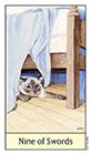 cats-eye - Nine of Swords