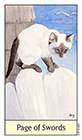 cats-eye - Page of Swords