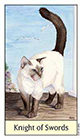 cats-eye - Knight of Swords