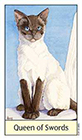 cats-eye - Queen of Swords