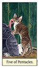 cats-eye - Five of Coins