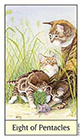 cats-eye - Eight of Coins
