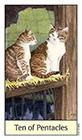 cats-eye - Ten of Coins