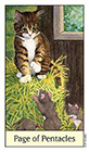cats-eye - Page of Coins