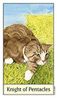 cats-eye - Knight of Coins
