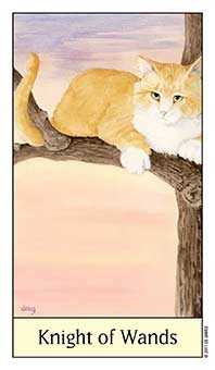 Knight of Wands Tarot card in Cat's Eye Tarot deck