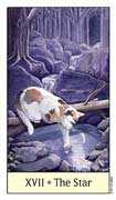 The Star Tarot card in Cat's Eye deck