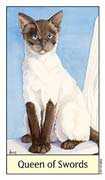 Queen of Swords Tarot card in Cat's Eye deck