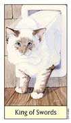 King of Swords Tarot card in Cat's Eye deck