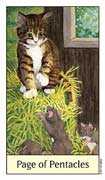 Page of Coins Tarot card in Cat's Eye deck