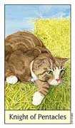 Knight of Coins Tarot card in Cat's Eye deck
