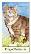 King of Coins Tarot card in Cat's Eye deck