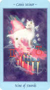 Nine of Swords Tarot card in Celestial Tarot deck