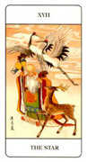 The Star Tarot card in Chinese deck