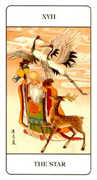 The Star Tarot card in Chinese Tarot deck