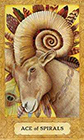 chrysalis - Ace of Wands