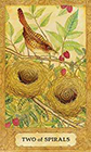 chrysalis - Two of Wands