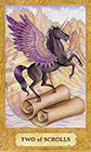 chrysalis - Two of Swords