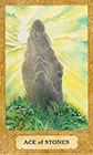chrysalis - Ace of Coins