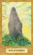 Ace of Coins Tarot card in Chrysalis deck