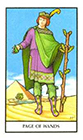 connolly - Page of Wands