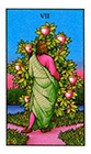 connolly - Seven of Cups