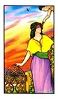 connolly - Five of Pentacles