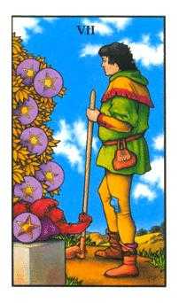 Seven of Pentacles Tarot card in Connolly Tarot deck