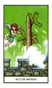 Ace of Wands Tarot card in Connolly Tarot deck