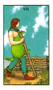 Seven of Wands Tarot card in Connolly deck
