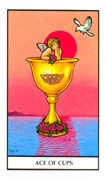 Ace of Cups Tarot card in Connolly deck