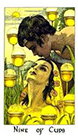cosmic - Nine of Cups