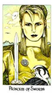 cosmic - Princess of Swords