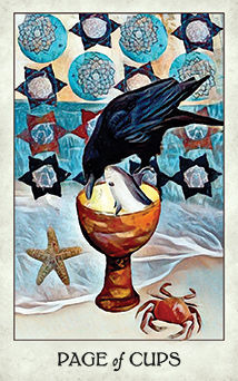Page of Cups Tarot card in Crow Tarot Tarot deck