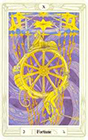 crowley - Fortune