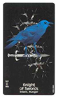 crows-magick - Knight of Swords