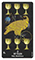 Crow's Magick