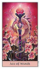 crystal-visions - Ace of Wands