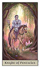 crystal-visions - Knight of Coins