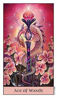 Ace of Wands Tarot card in Crystal Visions Tarot deck