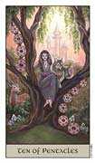 Ten of Coins Tarot card in Crystal Visions deck